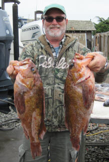 Cooper rockfish