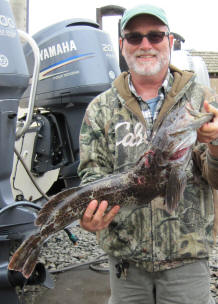 lingcod