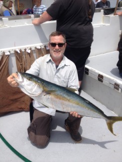 CA yellowtail